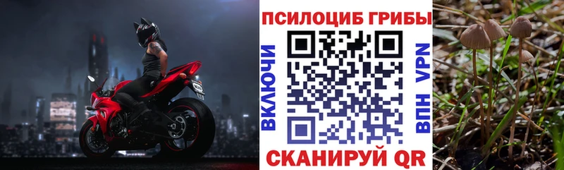 Псилоцибиновые грибы ЛСД  Горячеводский 